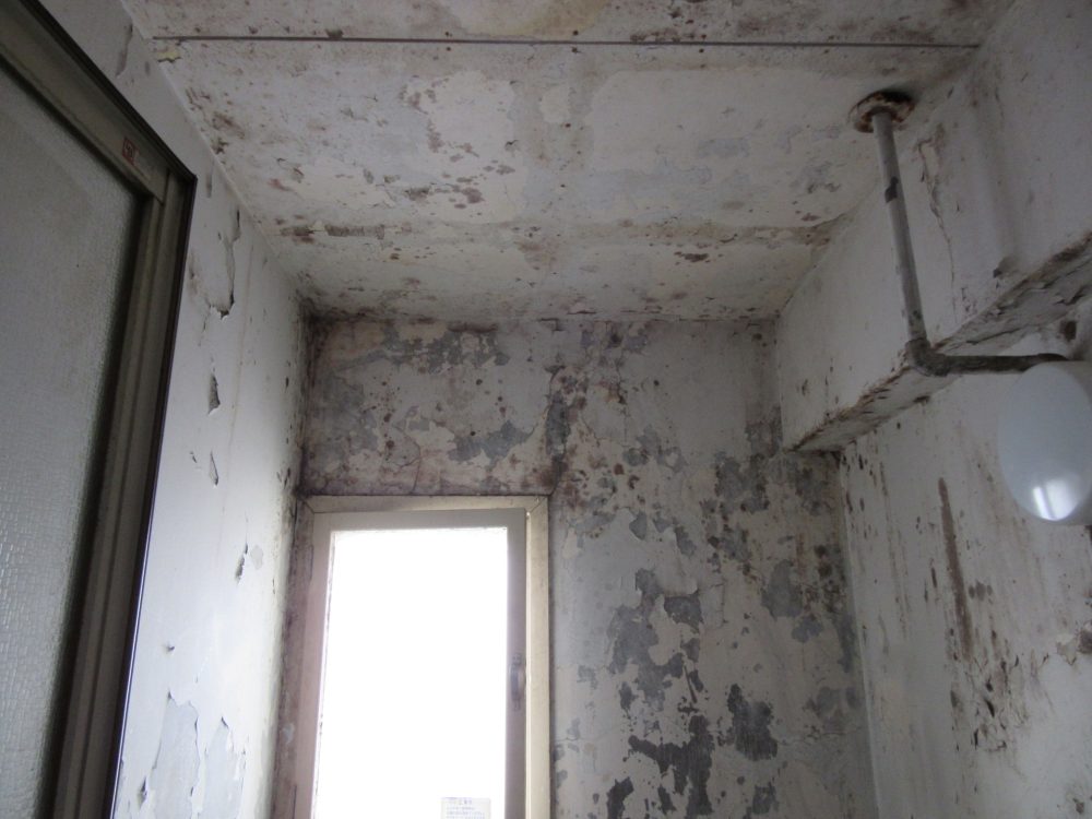 浴室天井塗装前